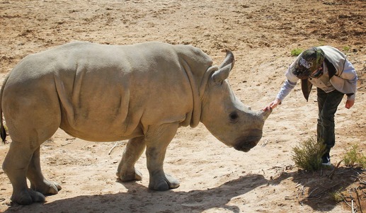 Ormai è una celebrità in tutto il mondo: il bambino che salva i rinoceronti
