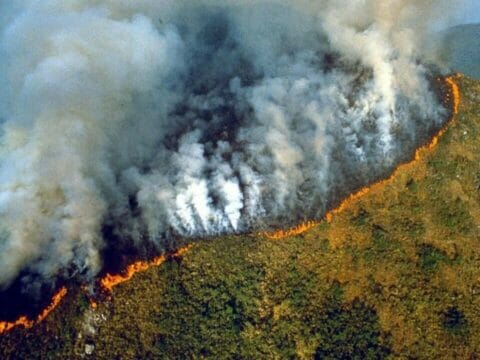 «Sta bruciando tutto» Amazzonia nella morsa del fuoco: «Mai vista una cosa del genere»