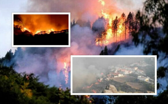 Incendio tremendo, isola devastata dalle fiamme: 8mila evacuati, paura per turisti e cittadini in fuga