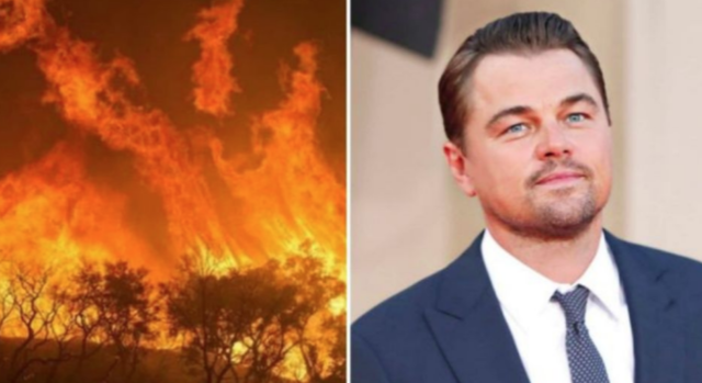 “Il nostro polmone sta bruciando”. Leonardo Di Caprio dona 5 milioni di dollari per l’Amazzonia
