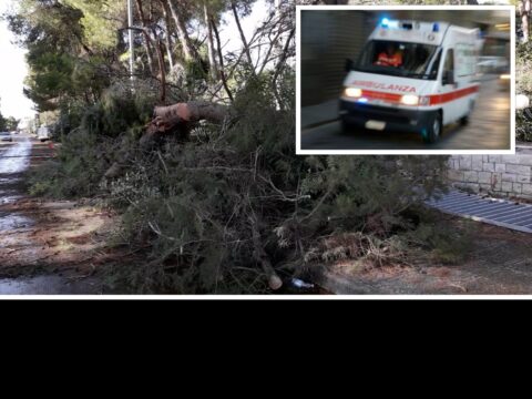 Il maltempo flagella l’Italia, danni ovunque: alberi caduti, auto e case distrutte. Ci sono feriti