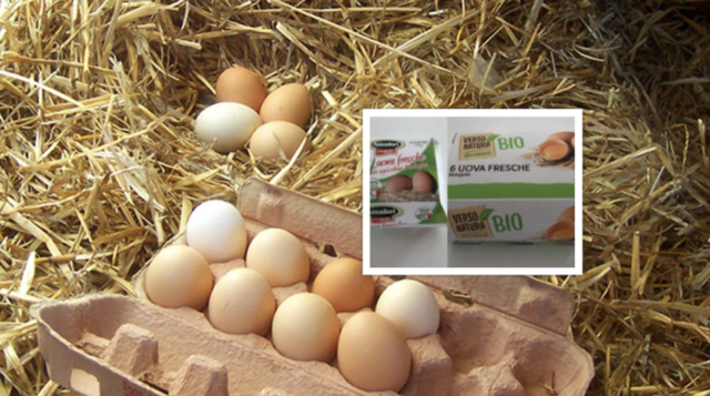 “Non consumatele”. Rischio microbiologico, ritirate uova biologiche Amadori e Conad