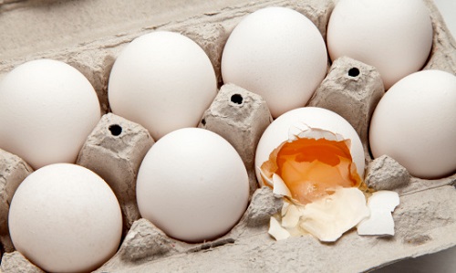 Allarme salmonella: sequestrate più di cinquantamila uova