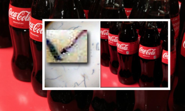 “Non bevetela”. Pezzi di vetro nelle bottiglie, ritirati questi lotti di Coca Cola. Ecco l’elenco