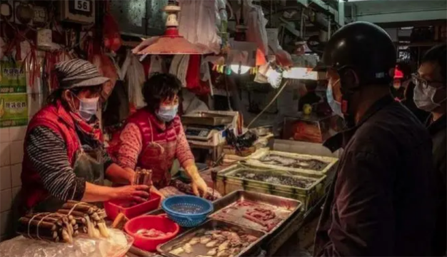 Coronavirus, in Cina riaprono i terribili mercati della carne