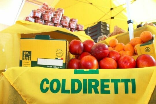 Coronavirus, Coldiretti: prezzo frutta sale 40 volte inflazione, crisi nei campi