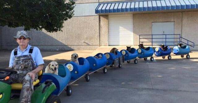 Uomo costruisce un trenino per cani: “Così vivono avventure con me”