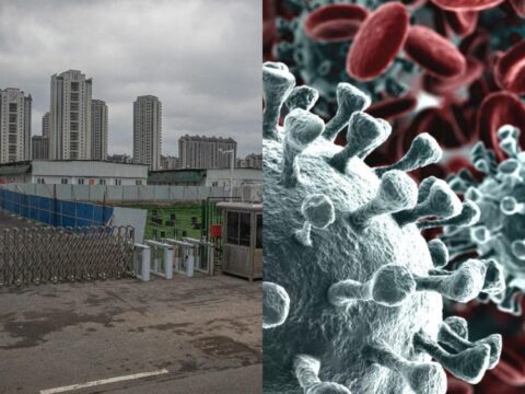 Coronavirus, studio di Harvard svela: “Virus a Wuhan già ad agosto”