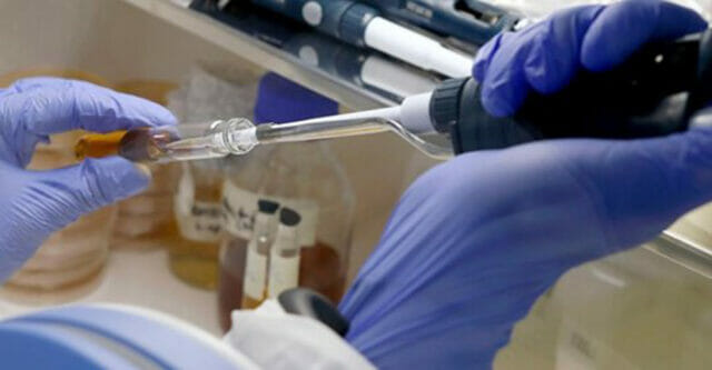 Coronavirus, vaccino in arrivo: “A novembre pronte le prime dosi”