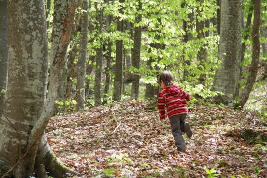 Mamma abbandona il figlio di 6 anni nel bosco: lui rincorre l’auto, lei lo investe e lo uccide