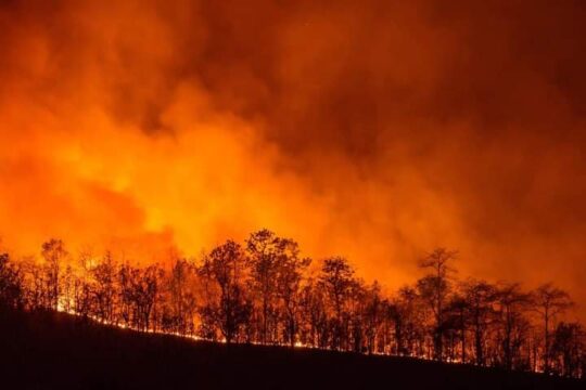 Inferno di fuoco in Sardegna, il governatore Solinas: “Cancellata la nostra storia”. Dichiarato lo stato di emergenza