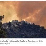 Incendi Calabria, morto anziano: cercava di spegnere le fiamme. Algeria, 65 vittime