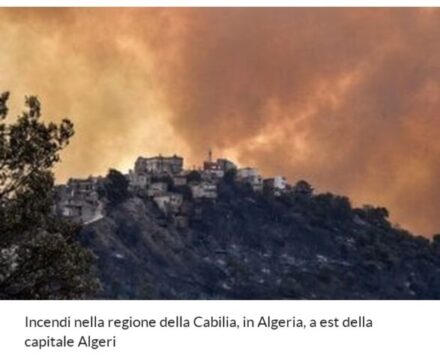 Incendi Calabria, morto anziano: cercava di spegnere le fiamme. Algeria, 65 vittime