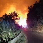 Incendi, è ancora emergenza in Calabria e Sicilia, oltre 500 interventi di soccorso in 24 ore