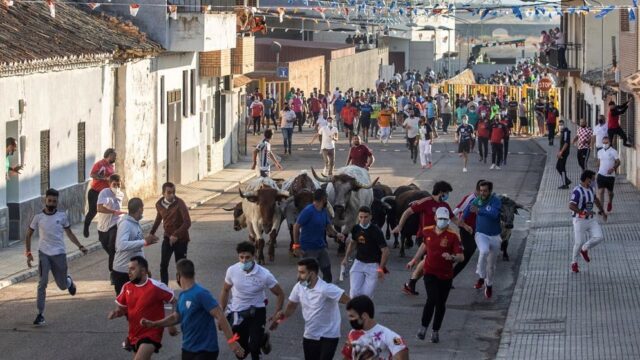 Uomo incornato e ucciso in strada da un toro durante un festival in Spagna