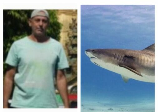 Terrore in spiaggia: turista italiano attaccato e ucciso da uno squalo