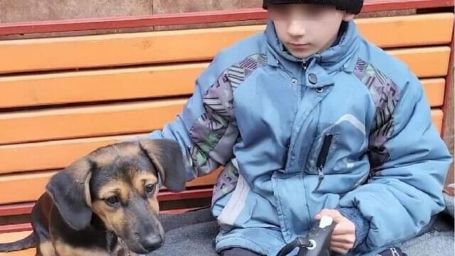 Ucraina, bimbo di 8 anni salvato in strada grazie al suo cane: i suoi genitori muoiono nel bombardamento