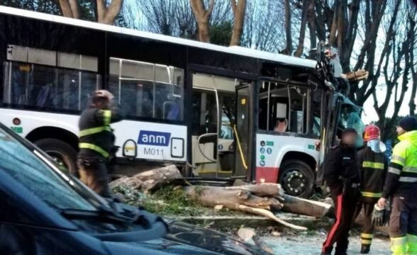 Autobus di linea si scontra con un camion e successivamente contro gli alberi:vola sulla rotonda