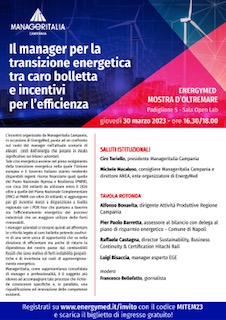 Il Manager per la trasizione energetica: Convegno ManagerItalia- Energymed