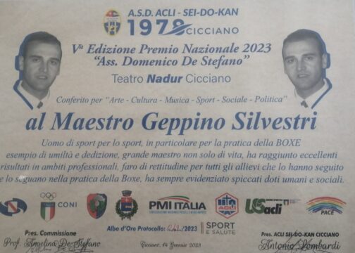 Strepitoso successo per il 16esimo memorial del M°Geppino Silvestri targato Napoli Boxe