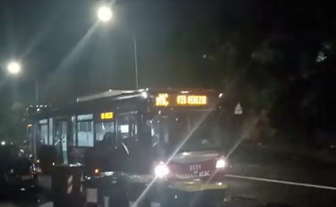Roma, autista del bus notturno accosta e va a prendere un cornetto al bar: il video è virale