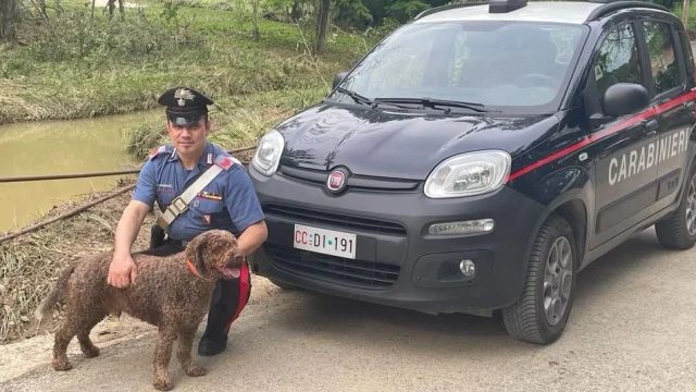 Carabiniere eroico: salva un uomo e il suo cane dalla corrente del fiume