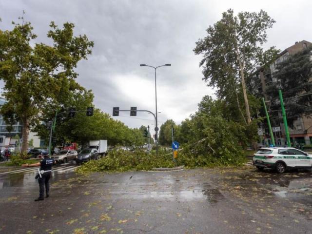 Maltempo al nord: albero si abbatte su una 16enne uccidendola