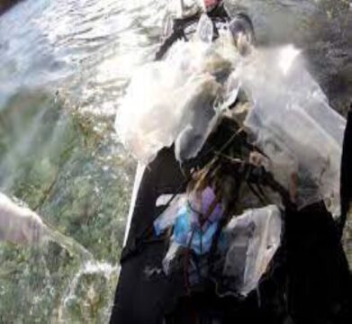 Ciccio Kayak con il suo mantra di sensibilizzazione ambientale “Non sporchiamo il mare!” approda in Campania