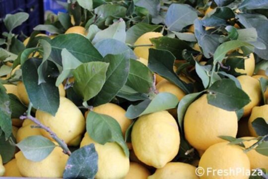 UE, limoni da Coldiretti Campania a Bruxelles: insostenibile aumento prezzi