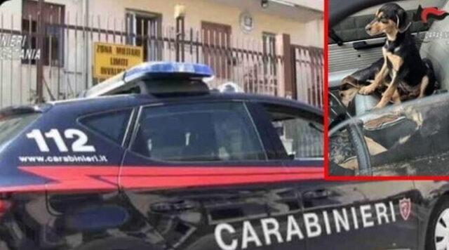 Vuole liberarsi del suo cagnolino: lo lancia in aria oltre la recinzione della caserma dei carabinieri