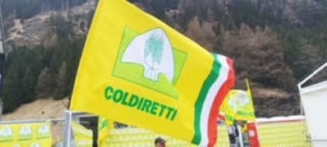 Gli 80 anni di Coldiretti: domani l’assemblea degli agricoltori napoletani