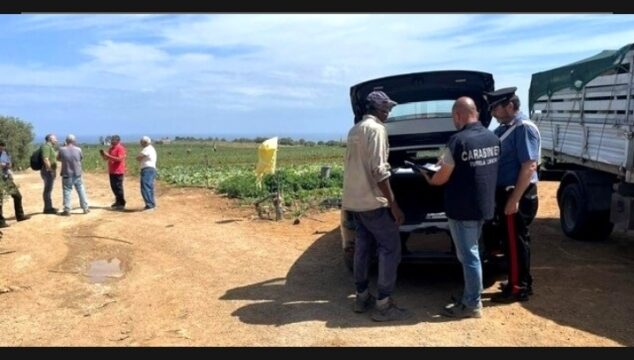 Crolla a terra mentre lavora in campagna sotto il sole: morto