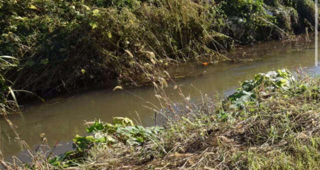 Cadavere trovato in un canale, indagini in corso