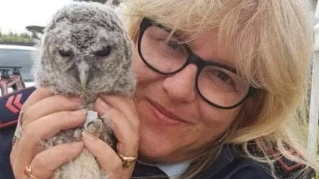 62enne si schianta contro un albero e uccide la moglie: condannato a 16 anni