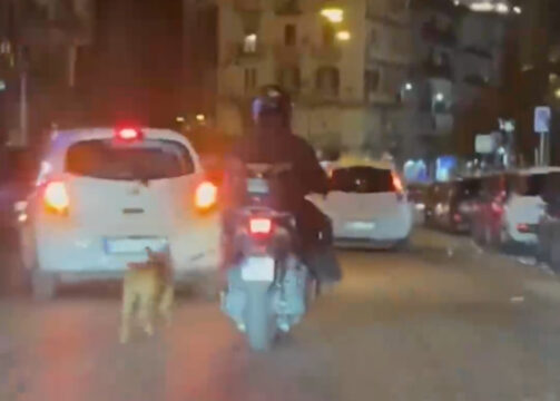 Cane al guinzaglio trascinato col motorino: video shock a Napoli