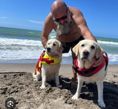 Cani bagnini salvano un uomo che stava annegando 	trascinato dalla corrente