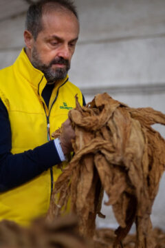 Agricoltura, Gennarino Masiello eletto presidente Unitab Europa