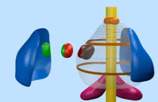 IRCC| Candiolo prostata rimossa con robot, IA e realtà aumentata: primo studio maggiore efficacia e recupero più veloce