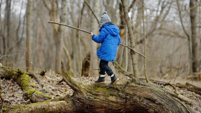 Palmoli, il sindaco offre una casa alla famiglia dei bambini del bosco per favorire il ricongiungimento
