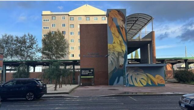 Aggredisce un uomo in strada e tenta di strangolarlo col cordino degli occhiali: arrestato 21enne