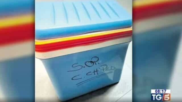 Il cuore del piccolo Domenico trasportato in un comune box frigo: il contenitore di plastica senza alcuna chiusura professionale