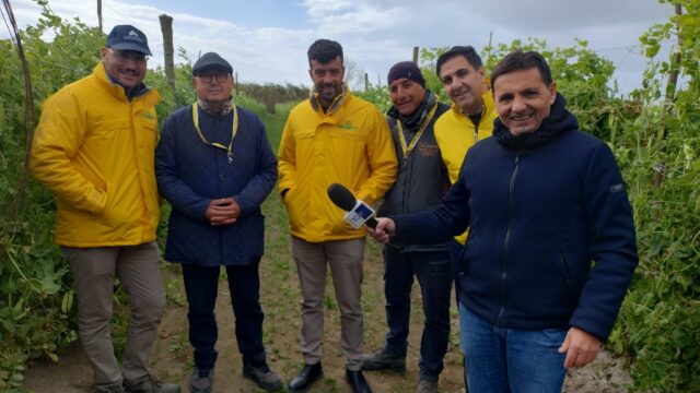 Coldiretti Campania: Stop agli allarmismi ingiustificati sull’ortofrutta della regione. L’Asl di Caserta conferma nessun riscontro positivo