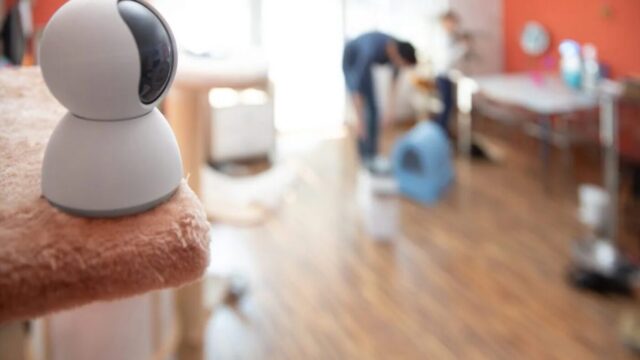 Case in affitto spiate, webcam in bagno, camera e salotto: le vittime salgono a 47, tra loro anche minori