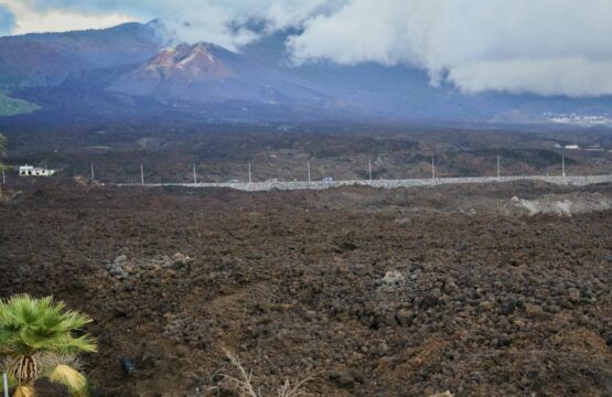Scontro tra gruppi rivali per un pozzo d’acqua: 42 morti