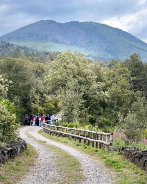 Pasquetta 2026: torna l’eco-escursione sul Vesuvio