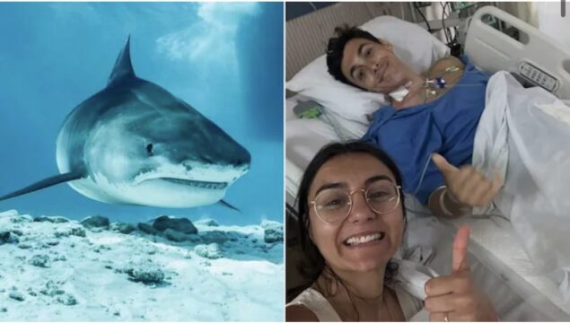 Luna di miele da incubo: ginecologo perde una gamba per l’attacco di uno squalo