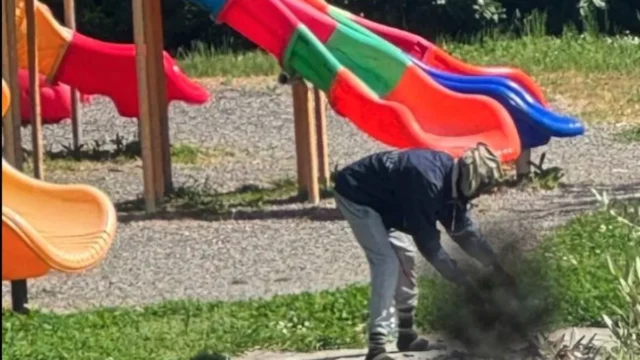 Uccide un gatto e prova a mangiarlo: denunciato dai passanti, i carabinieri lo fermano