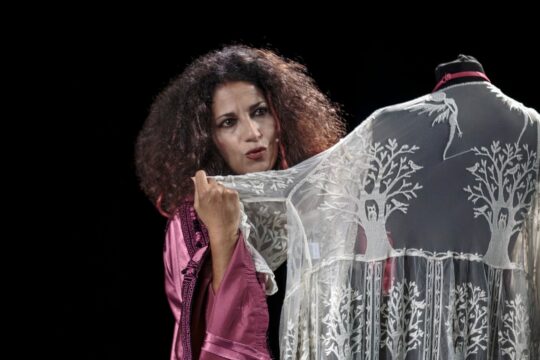 NIENTE E’ COME SEMBRA  di e con Patrizia Di Martino  Sabato 30 e domenica 31 maggio 2026  a Teatro Sala Molière, (ArtGarage – Via Bognar 21) Pozzuoli