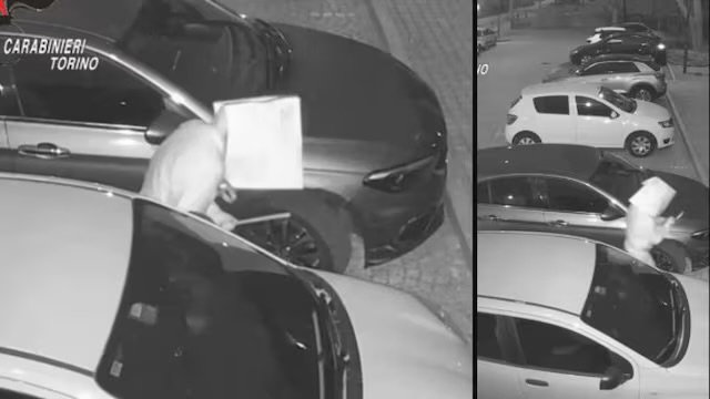 Torino, perseguita l’ex moglie e danneggia le auto in sosta: denunciato un 78enne