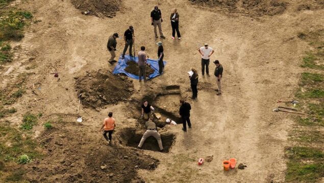 Scoperta enorme fossa comune con circa 120 cadaveri di cani nel terreno di un rifugio per animali